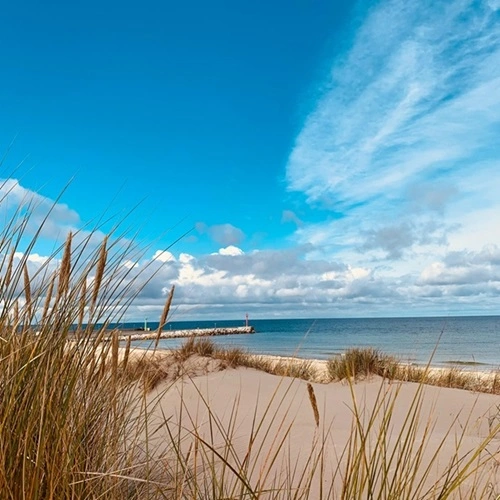 widok na falochron za trzcin na plaży w Dziwnowie